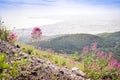 Naples Gulf taken from Vesuvius volcano, Italy Royalty Free Stock Photo