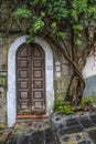 Naples, Italy - August 16, 2015 : Brown antique door with the rank tree