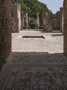 NAPLES, ITALY- JUNE, 13, 2019: mosaic of dogs hunting a boar at pompeii ruins