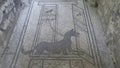 NAPLES, ITALY- JUNE, 13, 2019: a mosaic of a pet dog, tied to a leash, on a floor at the ruins of pompeii Royalty Free Stock Photo