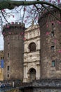NAPLES, ITALY - NOVEMBER 05, 2018 - The medieval castle of Maschio Angioino or Castel Nuovo New Castle and the silk tree in bloom