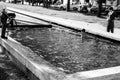 1959, Naples, Italy - Scugnizzi bathe in the ancient fountain in Piazza Municipio