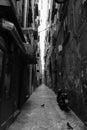 Naples streets