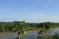Napo River and Amazon Rainforest at Sunset Royalty Free Stock Photo