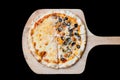 Napole pizza and Cheese pizza Royalty Free Stock Photo