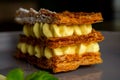 Napoleon pastry,Mille Feuille, puff pastry delicious dessert Royalty Free Stock Photo