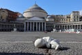 Napoli Ã¢â¬â Scultura Look Down in Piazza del Plebiscito