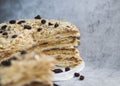 Napolion cake. A piece of cake on a black plate Royalty Free Stock Photo