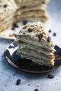 Napolion cake. A piece of cake on a black plate Royalty Free Stock Photo