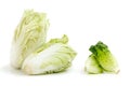 Nappa cabbage and Baby Cos lettuce put in beautiful isolate white background