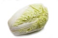 Nappa cabbage isolated