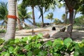 Napping in a Hammock Royalty Free Stock Photo