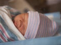 Napping newborn Royalty Free Stock Photo