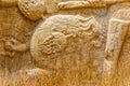 Naqsh-e Rustam relief detail