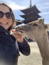 Nara Deer Park close to Kyoto and Osaka, Japan Royalty Free Stock Photo