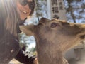 Nara Deer Park close to Kyoto and Osaka, Japan Royalty Free Stock Photo