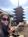 Nara Deer Park close to Kyoto and Osaka, Japan Royalty Free Stock Photo