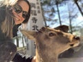 Nara Deer Park close to Kyoto and Osaka, Japan