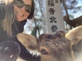 Nara Deer Park close to Kyoto and Osaka, Japan Royalty Free Stock Photo