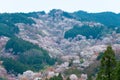 Cherry blossoms at Nakasenbon area in Mount Yoshino, Nara, Japan. Mt Yoshino is part of UNESCO World