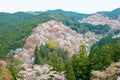 Cherry blossoms at Nakasenbon area in Mount Yoshino, Nara, Japan. Mt Yoshino is part of UNESCO World