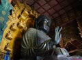 Great Buddha Daibutsu in Todaiji Pagoda Royalty Free Stock Photo