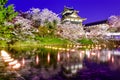 Nara Japan Castle Royalty Free Stock Photo