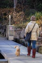 Group of locals walking in the park of Nara. People of Japan.