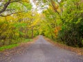 Nara, Japan - July 26, 2017: Beautiful autumn landscape with a desolate road, yellow autumn trees and leaves ,Colorful Royalty Free Stock Photo