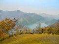 Nara, Japan - July 26, 2017: Beautiful autumn landscape, yellow autumn trees and leaves ,Colorful foliage in the Autumn Royalty Free Stock Photo