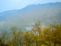 Nara, Japan - July 26, 2017: Beautiful autumn landscape, yellow autumn trees and leaves ,Colorful foliage in the Autumn Royalty Free Stock Photo