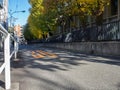 Nara, Japan - July 26, 2017: Beautiful view of autumn landscape in the road, with yellow autumn trees and leaves Royalty Free Stock Photo