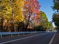 Nara, Japan - July 26, 2017: Beautiful view of autumn landscape in the road, with yellow autumn trees and leaves Royalty Free Stock Photo