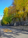 Nara, Japan - July 26, 2017: Beautiful view of autumn landscape in the road, with yellow autumn trees and leaves Royalty Free Stock Photo