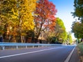 Nara, Japan - July 26, 2017: Beautiful view of autumn landscape in the road, with yellow autumn trees and leaves Royalty Free Stock Photo