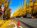 Nara, Japan - July 26, 2017: Beautiful view of autumn landscape, with some cars parked, with yellow autumn trees and Royalty Free Stock Photo