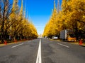 Nara, Japan - July 26, 2017: Beautiful view of autumn landscape, with some cars parked, with yellow autumn trees and Royalty Free Stock Photo