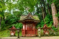 Small shrine in forest, Tanzan Jinja Shrine grounds, Nara, Japan