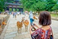 Nara, Japan - July 26, 2017: Unidentified woman taking a picture of a wild deer male and female in Nara park in Japan