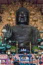 Daibutsu large bronze statue of Buddha in the Todai-ji temple in Nara, Japan Royalty Free Stock Photo