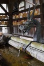 Nara, Japan - May 30, 2017: A Japanese water dragon at a water Royalty Free Stock Photo