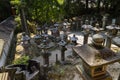 Many stone lanterns that lead up to the Kasuga Taisha shrine