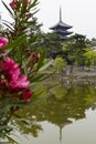 Nara, Japan - May 30, 2017: View of the Five Storied Pagoda of