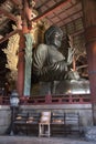 Daibutsu - the great Buddha, located at  the great Buddha hall at Todaiji temple Royalty Free Stock Photo