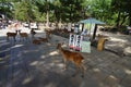 Nara - Japan, Nov 23 - 2014 - Sika deer, sacred animal, wandering around tourists in historical Nara-Japan