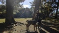 Young tourist feeds deer at the park in Nara, Japan