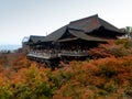 NARA, JAPAN- November 23: a lot of person visit Kiyomizu-dera Te