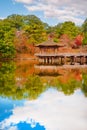 Nara Park in Autumn Royalty Free Stock Photo