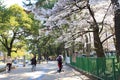 Nara Park,Japan