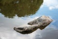 Nara Park in Japan. Fancy stone in the water.